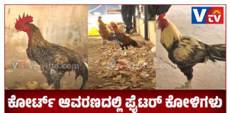 ನ್ಯಾಯಾಲಯದ ಆವರಣದಲ್ಲಿ ಫೈಟರ್ ಕೋಳಿಗಳು..! ಕುತೂಹಲ ಮೂಡಿಸಿದ ಹರಾಜು ಪ್ರಕ್ರಿಯೆ