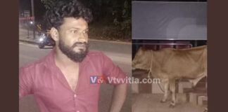 ಪುತ್ತೂರು: ಅಕ್ರಮ ಗೋ ಸಾಗಾಟ; ಬಜರಂಗದಳದ ಕಾರ್ಯಾಚರಣೆ – ಗೋಕಳ್ಳ ಫಾರೂಕ್ ಪೊಲೀಸ್ ವಶಕ್ಕೆ..!!
