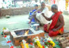 ವಿಟ್ಲ : ನೆಕ್ಕರೆಕಾಡು ರಕ್ತೇಶ್ವರಿ, ಗುಳಿಗ, ಮತ್ತು ನಾಗಶಿಲೆ ಜೀರ್ಣೋದ್ದಾರ ಪ್ರತಿಷ್ಠಾ ಕಾರ್ಯಕ್ರಮ