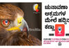 ಚುನಾವಣಾ ಅಕ್ರಮಗಳ ವಿರುದ್ದ ’ಸಿ ವಿಜಿಲ್ ’ ಹದ್ದಿನ ಕಣ್ಣು..! ದೂರು ದಾಖಲಾದ ನೂರು ನಿಮಿಷದೊಳಗೆ ಸಂಪೂರ್ಣ ಇತ್ಯರ್ಥ
