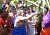 ಪುತ್ತೂರ ಒಡೆಯನ ಜಾತ್ರೋತ್ಸವಕ್ಕೆ ಗೊನೆ ಮುಹೂರ್ತ