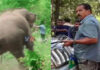 ಗಾಯಗೊಂಡಿದ್ದ ಕಾಡಾನೆಯನ್ನು ಸೆರೆ ಹಿಡಿಯುತ್ತಿದ್ದಾಗ ದಾಳಿ; ಶಾರ್ಪ್ ಶೂಟರ್ ಮೃತ್ಯು