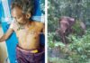 ಕಡಬ: ಪಾದಚಾರಿ ಮೇಲೆ ಕಾಡಾನೆ ದಾಳಿ : ಗಂಭೀರ ಗಾಯ
