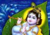 ವಿಟ್ಲ: (ಸೆ.06) ಕುಂಡಡ್ಕ ಶ್ರೀ ವಿಷ್ಣುಮೂರ್ತಿ ದೇವರ ಸನ್ನಿಧಿಯಲ್ಲಿ ಶ್ರೀಕೃಷ್ಣ ಜನ್ಮಾಷ್ಟಮಿ ಉತ್ಸವ