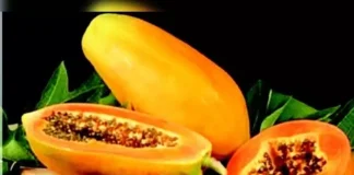 ಪಪ್ಪಾಯಿಯ ಔಷಧೀಯ ಗುಣ
