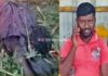 ಕಾಡಾನೆ ದಾಳಿ- ರೈತ ಬಲಿ