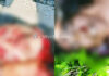 ಒಂದೇ ಕುಟುಂಬದ ಮೂವರು ರೈಲಿಗೆ ತಲೆಕೊಟ್ಟು ಆತ್ಮಹತ್ಯೆ