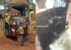 ಅಂತರ್ಜಾತಿ ಪ್ರೇಮಿಗಳು ನಾಪತ್ತೆ: ಯುವಕನ ಸಹೋದರನ ಆಟೋಗೆ ಬೆಂಕಿ ಹಚ್ಚಿದ ಯುವತಿಯ ಪೋಷಕರು