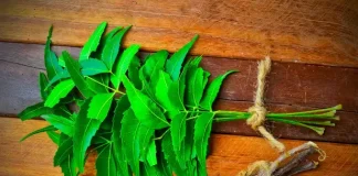 ಬೇವಿನ ನೀರಿನಿಂದ ಸ್ನಾನ ಮಾಡಿದರೆ ಆರೋಗ್ಯಕ್ಕೆ ಎಷ್ಟೆಲ್ಲಾ ಲಾಭಗಳಿವೆ ಗೊತ್ತಾ?