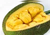 ಹಲಸಿನ ಹಣ್ಣಿನ ಅದ್ಭುತ ಪ್ರಯೋಜನಗಳು