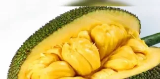 ಹಲಸಿನ ಹಣ್ಣಿನ ಅದ್ಭುತ ಪ್ರಯೋಜನಗಳು