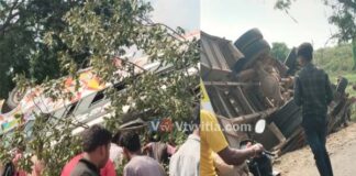 ಓವರ್ಟೇಕ್ ಭರದಲ್ಲಿ ಮರಕ್ಕೆ ಬಸ್ ಡಿಕ್ಕಿ – ಇಬ್ಬರು ಸ್ಥಳದಲ್ಲೇ ಸಾವು