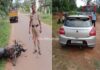 ನೆಲ್ಯಾಡಿ : ಕಾರು-ಬೈಕ್ ನಡುವೆ ಡಿಕ್ಕಿ: ಬೈಕ್ ಸವಾರ ಗಂಭೀರ