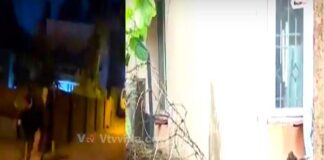ಮಂಗಳೂರು: ಕದ್ರಿ ಬಳಿ ಕಾಡುಕೋಣ ಪ್ರತ್ಯಕ್ಷ, ಆತಂಕದಲ್ಲಿ ಜನತೆ