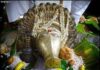ಕರೋಪಾಡಿ: (ಜ.26) ಆನೆಮಾರು ಶ್ರೀ ಮಲರಾಯಿ ಪಿಲಿಚಾಮುಂಡಿ ಮತ್ತು ಪರಿವಾರ ದೈವಗಳ ನೇಮೋತ್ಸವ