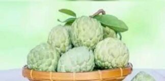 ಸೀತಾಫಲದಲ್ಲಿದೆ ಔಷಧೀಯ ಗುಣ