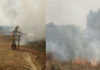 ಉಡುಪಿ: ಖಾಲಿ ಜಾಗದಲ್ಲಿ ಆಕಸ್ಮಿಕ ಅಗ್ನಿ ದುರಂತ: ಗಿಡ ಮರಗಳು ಬೆಂಕಿಗಾಹುತಿ..!