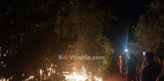 ಪುತ್ತೂರು: ಅರಣ್ಯಕ್ಕೆ ಆಕಸ್ಮಿಕ ಬೆಂಕಿ