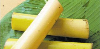 ಬಾಳೆದಿಂಡಿನ ಆರೋಗ್ಯ ಪ್ರಯೋಜನ