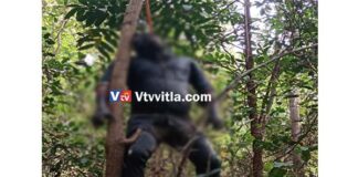 ವಿಟ್ಲ: ನೇಣು ಬಿಗಿದ ಸ್ಥಿತಿಯಲ್ಲಿ ಅಪರಿಚಿತ ಶವ ಪತ್ತೆ