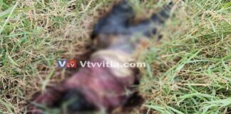 ಪಣಂಬೂರು : ನಿರ್ಜನ ಪ್ರದೇಶದಲ್ಲಿ ಶವ ಪತ್ತೆ: ಕೊಲೆ ಶಂಕೆ