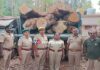 ಸುಳ್ಯ: ಅಕ್ರಮವಾಗಿ ಮರ ಕಡಿದು ದಿಮ್ಮಿ ಸಾಗಾಟ ಯತ್ನ : ಲಾರಿ, ಕ್ರೇನ್ ಸಹಿತ ನಾಲ್ಕು ಮಂದಿ ಅರೆಸ್ಟ್