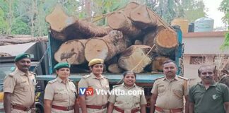 ಸುಳ್ಯ: ಅಕ್ರಮವಾಗಿ ಮರ ಕಡಿದು ದಿಮ್ಮಿ ಸಾಗಾಟ ಯತ್ನ : ಲಾರಿ, ಕ್ರೇನ್ ಸಹಿತ ನಾಲ್ಕು ಮಂದಿ ಅರೆಸ್ಟ್