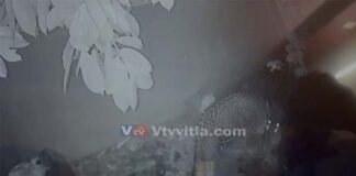 ಉಡುಪಿ: ಕೋಳಿ ಗೂಡಿಗೆ ನುಗ್ಗಿ ಕೋಳಿ ತಿಂದ ಚಿರತೆ -ಜನರಲ್ಲಿ ಹೆಚ್ಚಿದ ಆತಂಕ