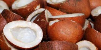 ಒಣಕೊಬ್ಬರಿ ತಿನ್ನುವುದರಿಂದ ಸಿಗುವ ಆರೋಗ್ಯ ಪ್ರಯೋಜನ