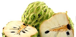ಸೀತಾಫಲ ಹಣ್ಣಿನಲ್ಲಿರುವ ಆರೋಗ್ಯ ಪ್ರಯೋಜನಗಳು