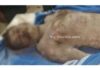 ಕಡಬ: ಸಿಡಿಲು ಬಡಿದು ಓರ್ವ ಕಾರ್ಮಿಕ ಮೃತ್ಯು, ಇಬ್ಬರು ಗಂಭೀರ