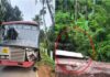 ಬೆಳ್ತಂಗಡಿ: ಕೆ ಎಸ್ ಆರ್ ಟಿ ಸಿ ಬಸ್ ತಡೆಗೋಡೆಗೆ ಡಿಕ್ಕಿ ; ತಪ್ಪಿದ ಭಾರೀ ಅನಾಹುತ