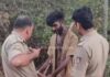 ಪುತ್ತೂರು: ರಸ್ತೆ ಬದಿ ನಿಲ್ಲಿಸಿದ್ದ ಓಮ್ನಿ ಕಾರನ್ನು ಚಲಾಯಿಸಿದ ಮಾನಸಿಕ ಅಸ್ವಸ್ಥ : ಹಲವು ವಾಹನಗಳಿಗೆ ಢಿಕ್ಕಿ