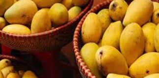 ಭಾರತದ ಮಾವಿನಹಣ್ಣಿಗೆ ನಿರ್ಬಂಧ ಹೇರಿದ ನೇಪಾಳ..!