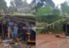 ಉಡುಪಿ: ಭಾರೀ ಗಾಳಿ ಮಳೆಗೆ ಮನೆ ಮೇಲೆ ಬಿದ್ದ ಮರ; ಎರಡು ರಿಕ್ಷಾಗಳಿಗೆ ಹಾನಿ..!