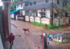 ಉಡುಪಿ: ವಿದ್ಯಾರ್ಥಿನಿ ಮೇಲೆ ಬೀದಿ ನಾಯಿಗಳಿಂದ ದಾಳಿ..!