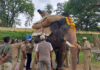 ಮೈಸೂರು ದಸರಾ; ಗಜಪಡೆಗೆ ಮರಳು ಮೂಟೆ ಹೊರಿಸುವ ತಾಲೀಮು ಆರಂಭ