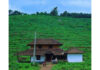 ಸಂಸ್ಕಾರಕ್ಕೆ ಹಳ್ಳಿಯತ್ತ ಸಾಗೋಣ…