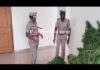 ಜಮೀನಿನಲ್ಲಿ ಬೆಳೆದಿದ್ದ 12 ಲಕ್ಷ ಮೌಲ್ಯದ ಗಾಂಜಾ ಸಹಿತ ಆರೋಪಿ ವಶಕ್ಕೆ..!
