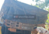 ಲಾರಿಯಿಂದ ಹಾರಿದ ಚಾಲಕ: ಚಕ್ರದಡಿಗೆ ಸಿಲುಕಿ ಸಾವು