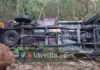 ಚಾಲಕನ ನಿಯಂತ್ರಣ ತಪ್ಪಿ ಕೋಳಿ ಸಾಗಾಟದ ಪಿಕಪ್ ಪಲ್ಟಿ