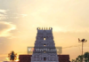 ಪುತ್ತೂರು:( ಫ್ರೆ .11) ಮಹಾಲಿಂಗೇಶ್ವರ ದೇವಸ್ಥಾನದಲ್ಲಿ ಬೃಹತ್ ಕರಸೇವೆ
