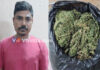 ಉಡುಪಿ: ಸಾರ್ವಜನಿಕ ಸ್ಥಳದಲ್ಲಿ ಮಾದಕ ವಸ್ತು ಮಾರಾಟ ಮಾಡುತ್ತಿದ್ದ ಆರೋಪಿ ಅರೆಸ್ಟ್..!