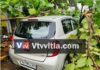 ಮಂಗಳೂರು: ಭಾರೀ ಮಳೆಗೆ ಕಾರಿನ ಮೇಲೆ ಉರುಳಿ ಬಿದ್ದ ಮರ