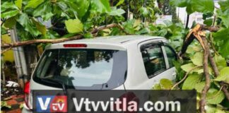 ಮಂಗಳೂರು: ಭಾರೀ ಮಳೆಗೆ ಕಾರಿನ ಮೇಲೆ ಉರುಳಿ ಬಿದ್ದ ಮರ