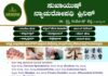 ವಿಟ್ಲ: ಎಲ್ಲಾ ತರಹದ ಕಾಯಿಲೆಗಳಿಗೆ ಯಾವುದೇ ಅಡ್ಡ ಪರಿಣಾಮವಿಲ್ಲದ ಸೂಕ್ತ ಚಿಕಿತ್ಸೆ ಇದೀಗ ವಿಟ್ಲದಲ್ಲಿ ಲಭ್ಯ