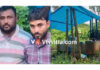ಬೆಳ್ತಂಗಡಿ: ಗೋಮಾಂಸ ಮಾಡುತ್ತಿದ್ದ ಶೆಡ್ ಮೇಲೆ ಪೊಲೀಸ್ ದಾಳಿ; ಇಬ್ಬರು ಆರೋಪಿಗಳ ಬಂಧನ