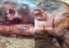 ಕುಂಪಲ: ರಕ್ತಸಿಕ್ತ ಸ್ಥಿತಿಯಲ್ಲಿ ವ್ಯಕ್ತಿಯ ಮೃತಹೇಹ ಪತ್ತೆ