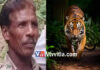 ಚಾಮರಾಜನಗರ: ಹುಲಿ ದಾಳಿಗೆ ಅರಣ್ಯ ಇಲಾಖೆ ಸಿಬ್ಬಂದಿ ಸ್ಥಳದಲ್ಲೇ ಮೃತ್ಯು..!
