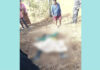 ಸಕಲೇಶಪುರ : ಕಾಡಾನೆ ದಾಳಿ, ಮಹಿಳೆ ಸಾವು!